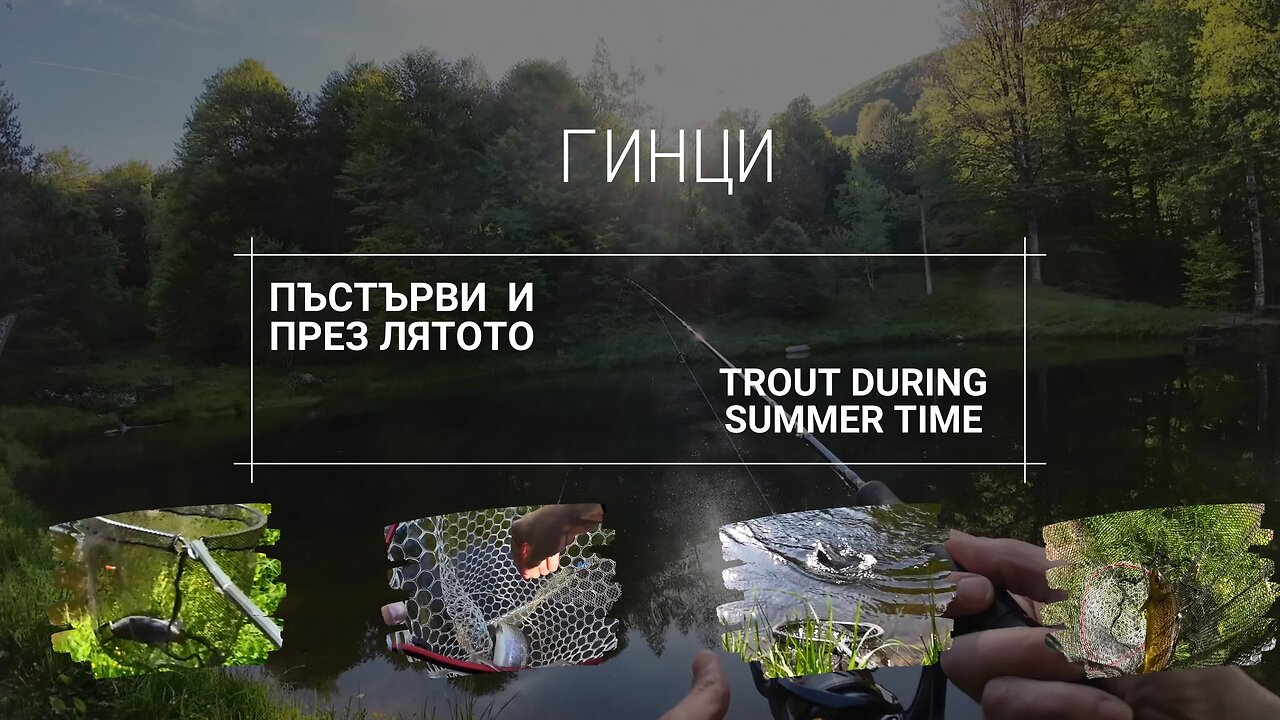 Летни Пъстърви - Summer trout's