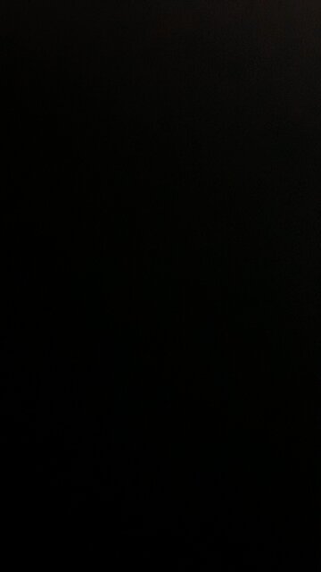 Eating bugs in the 15 minute cities