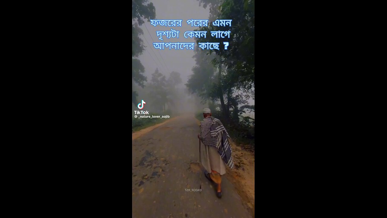 ফজরের নামাজের পরের দৃশ্য