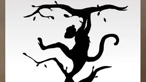 ONE monkey FOUR tiger