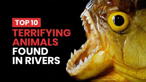 10 Terrifying Animals Found in Rivers