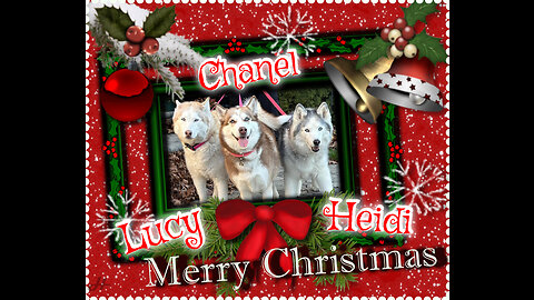 My Husky, My Best Friend Christmas 2022