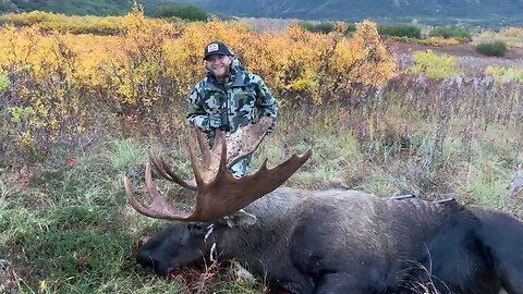 Bull Moose