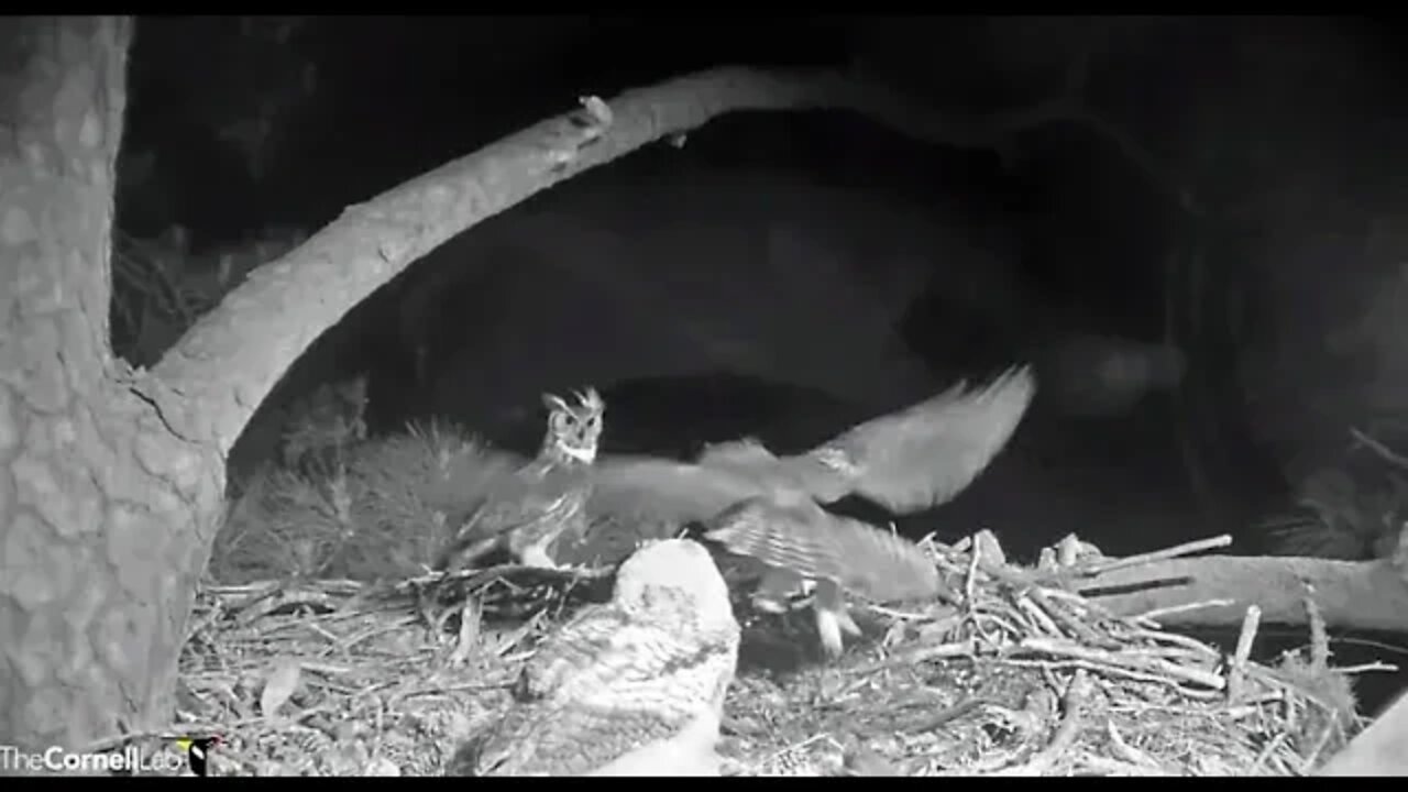 Dad Stops By, Mom Runs Him Out 🦉 4/12/22 04:29