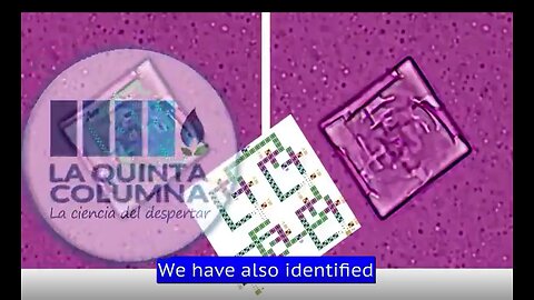 Here is What Really is in the Vaccines - 1-4-22