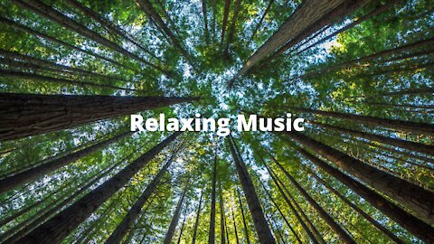 Relaxing Music