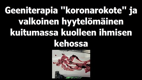 Geeniterapia koronarokote ja valkoinen hyytelömäinen kuitumassa kuolleen ihmisen kehossa