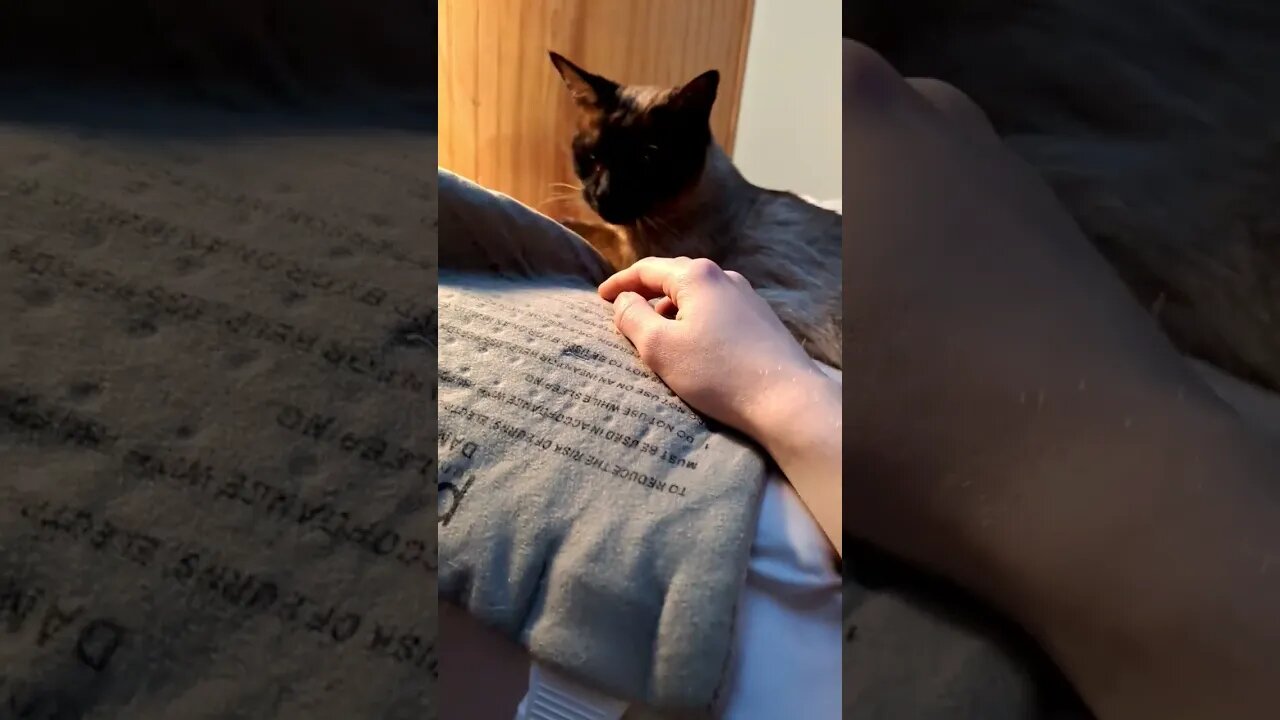 the hand has left the station