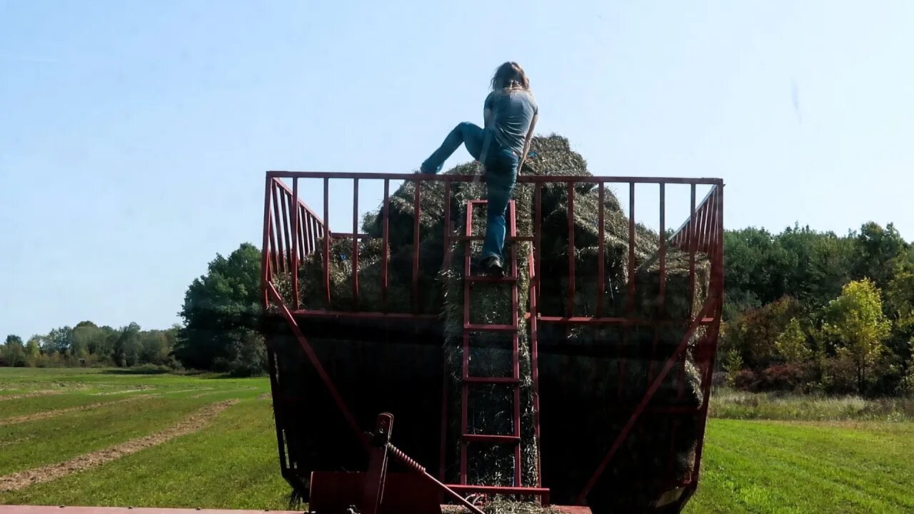 Highs and Lows Of Hay Baling Small Square Bales