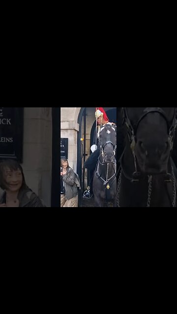 Do not touch the kings life guard #horseguardsparade
