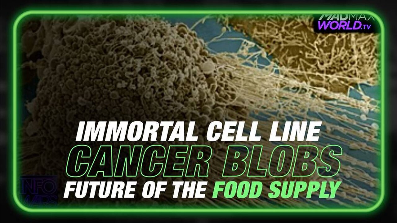 Cancer Blobs: Immortal Cell Lines are the Future of the Food Supply