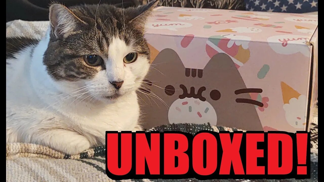 Unboxing the PUSHEEN CAT BOX from Culture Fly!