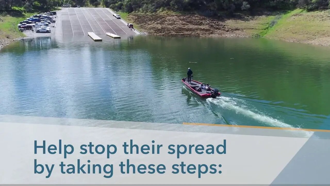 👀 Quagga Mussels: Clean, Drain, Dry with Audio Description