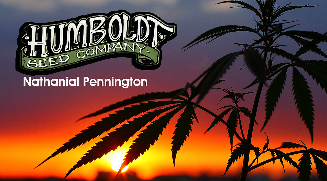 HUMBOLDT SEED CO | NATHANIAL PENNINGTON