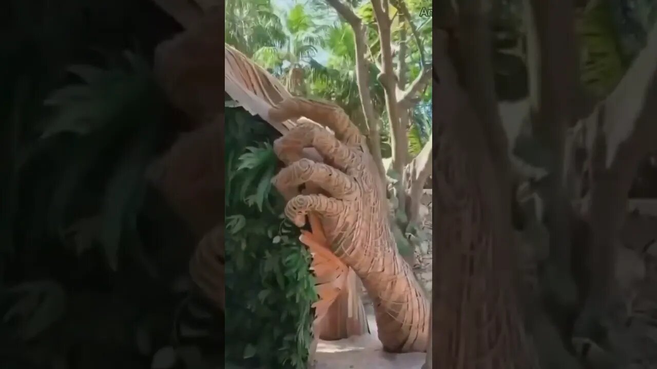 Amezing video