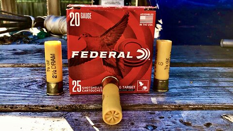 Federal 20 Gauge 7/8 Ounce Field & Target Load - Breakdown