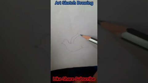 Birds Easy Pencil Drawing Tutorial Step by Step #birddrawing #shortsvideos