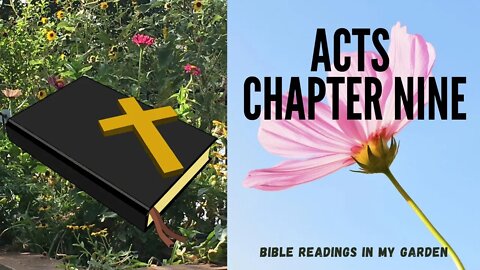 ACTS Chapter 9 | NRSV Bible
