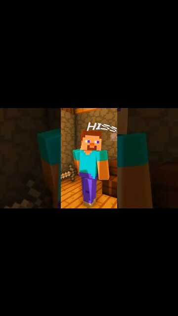 Do you like raccoons?😍 Credits: @animalmace