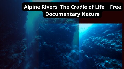 Alpine Rivers: The Cradle of Life | Free Documentary Nature