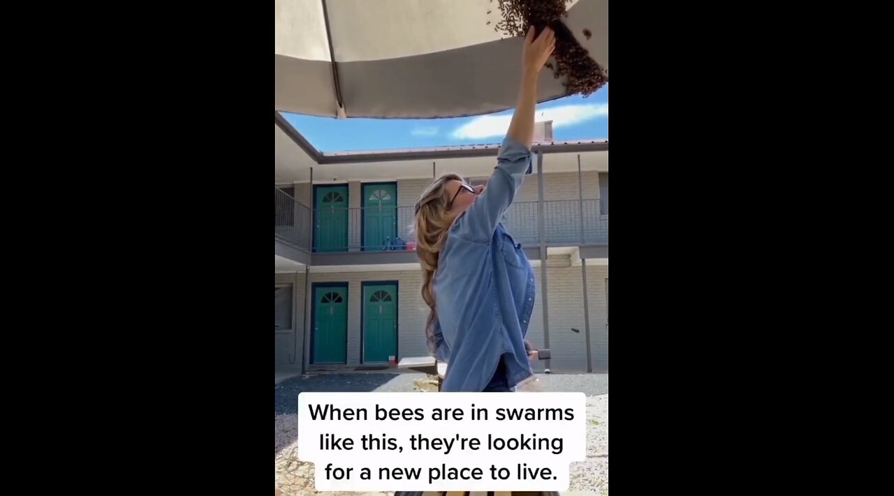 Save the bees