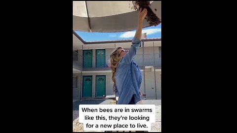 Save the bees