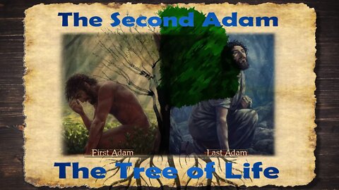 The Second Adam - The Tree of Life