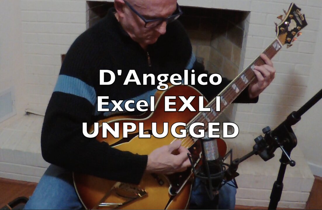 D'Angelico Excel EXL1 Hollowbody Jazz Guitar - UNPLUGGED