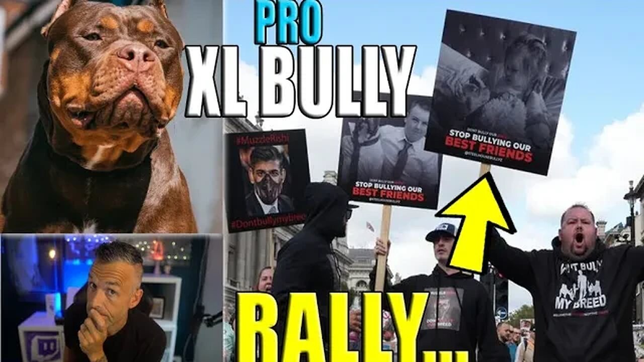 Thousands of Pro XL BULLY CAMPAIGNERS Rally Against Dog Ban!