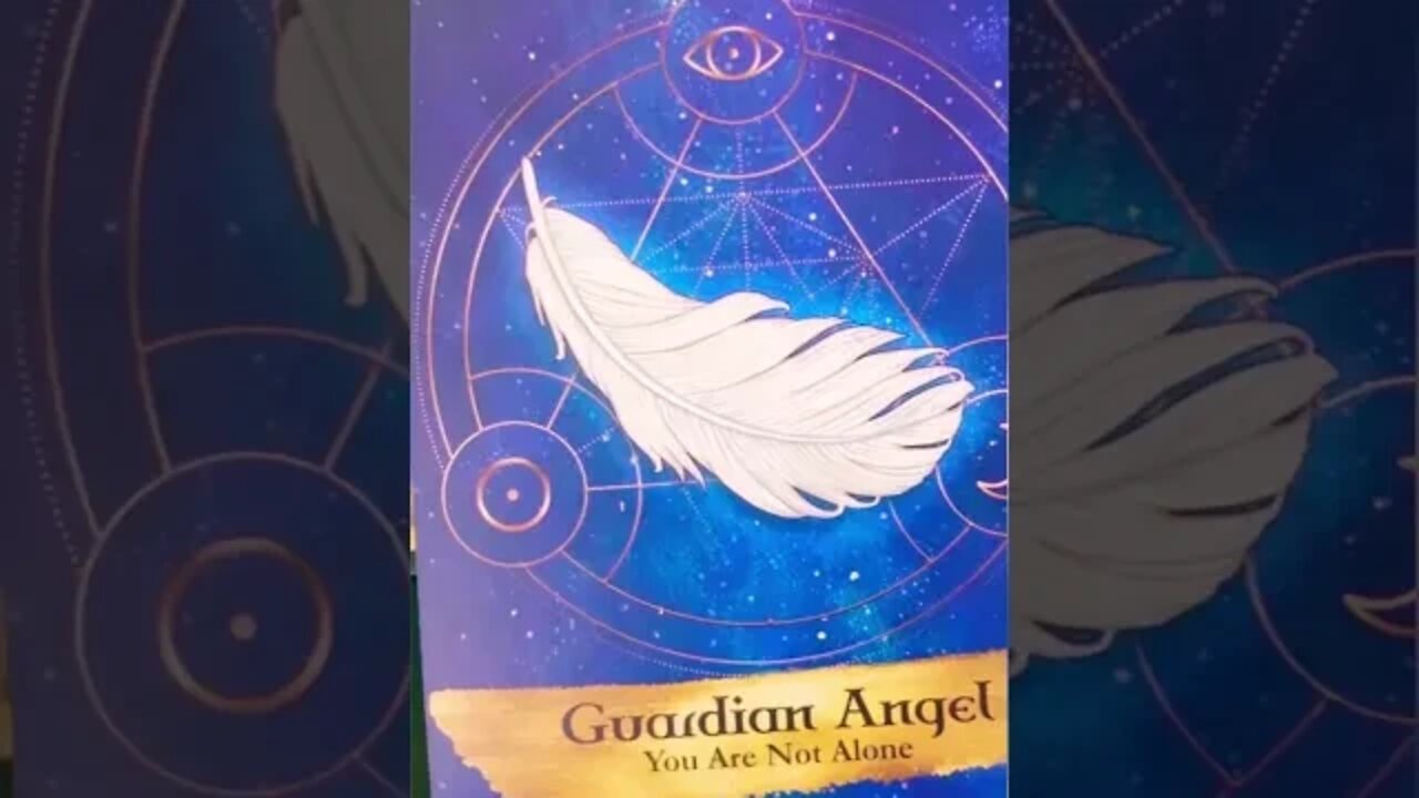 rainy day mood 3 card pick #angelsandancestors #oraclecards #fullmoonvibes
