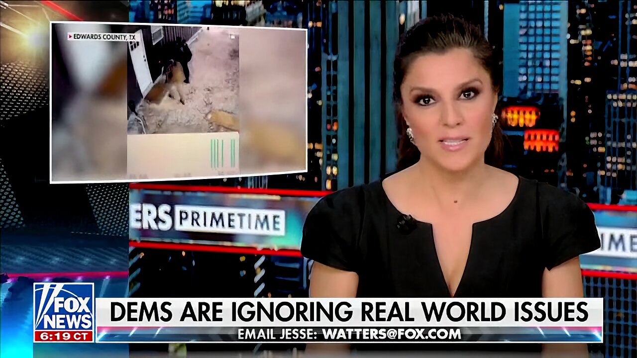 Campos-Duffy: I’m Almost Expecting Some Kind of a Revolt From Americans Affected By Border Crisis