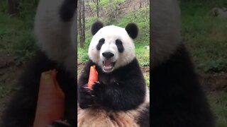 25 de março de 2022