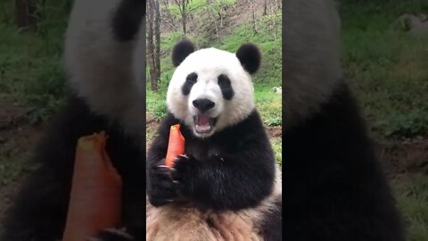 25 de março de 2022