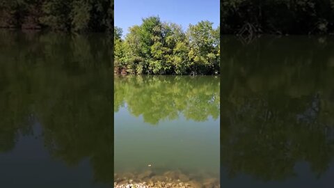 relaxing pond