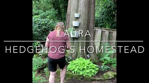 Tim I got a big wood#Short #BigWoodContest