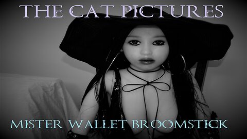 The Cat Pictures (feat. Sean Harper) - Mister Wallet Broomstick