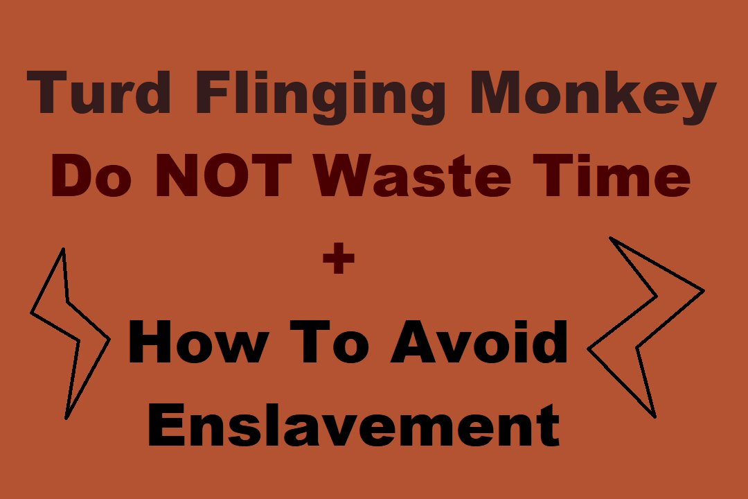 Turd Flinging Monkey - Don't Waste Your Time + Avoiding Enslavement + Future Generational Hope