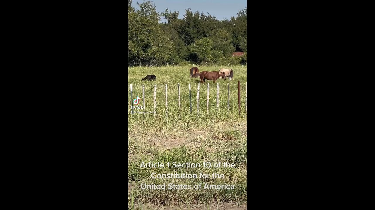 Article 1 Section 10 of the Constitution for the United States of America
