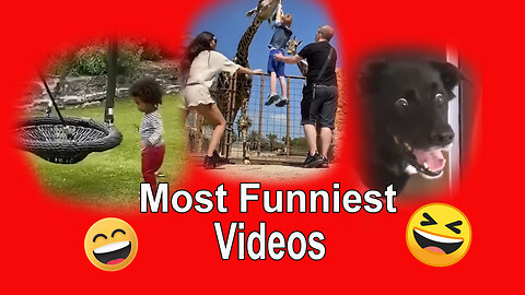 the funniest videos | must watch it