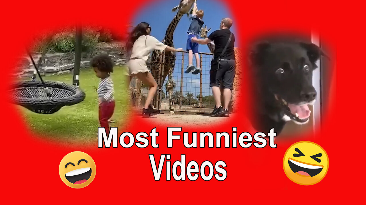 the funniest videos | must watch it