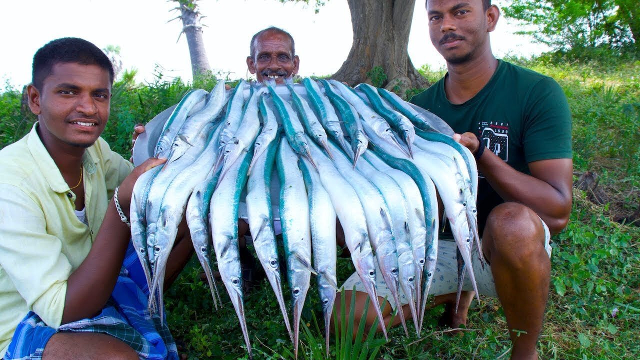 KING of GARFISH Recipe | Grandpa Cooking Garfish Recipe | Seafood Recipes | Fish Curry Village Food