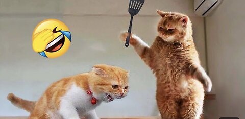 Funniest Animals 2023 😂 New Funny Cats and Dogs Videos 😻🐶 Part 1