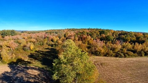 Beautiful NH