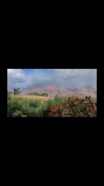 Second Fire On Maui !!!!