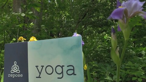 Repose Yoga: Episode 18