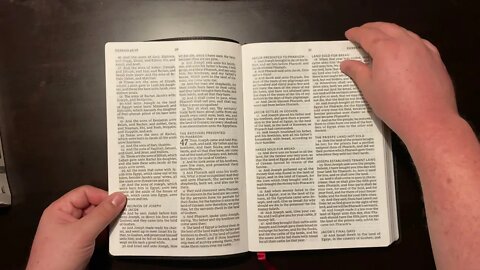 Giant Print Thinline Bible (Thomas Nelson)(Mar 21, 2021)