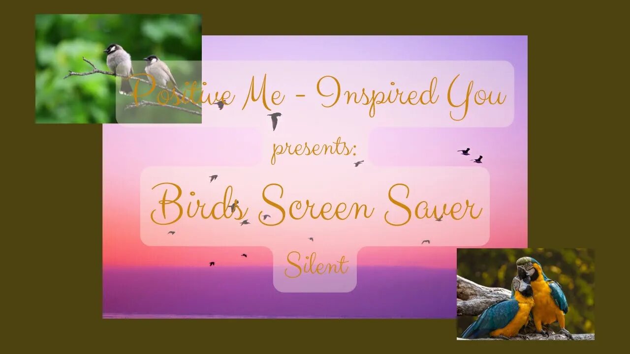 Birds Screen Saver without Audio