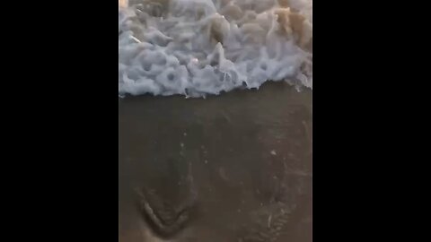 Beach Vibes