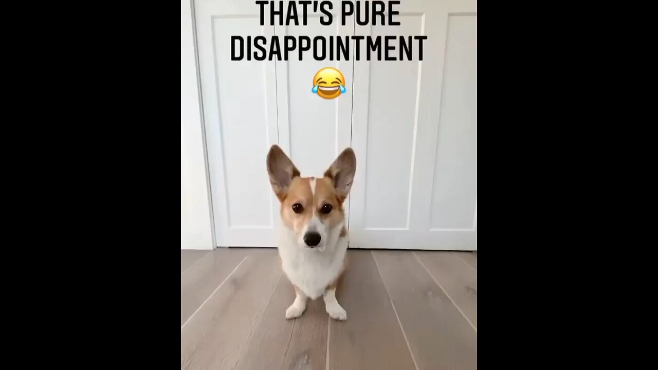 Really disappointing