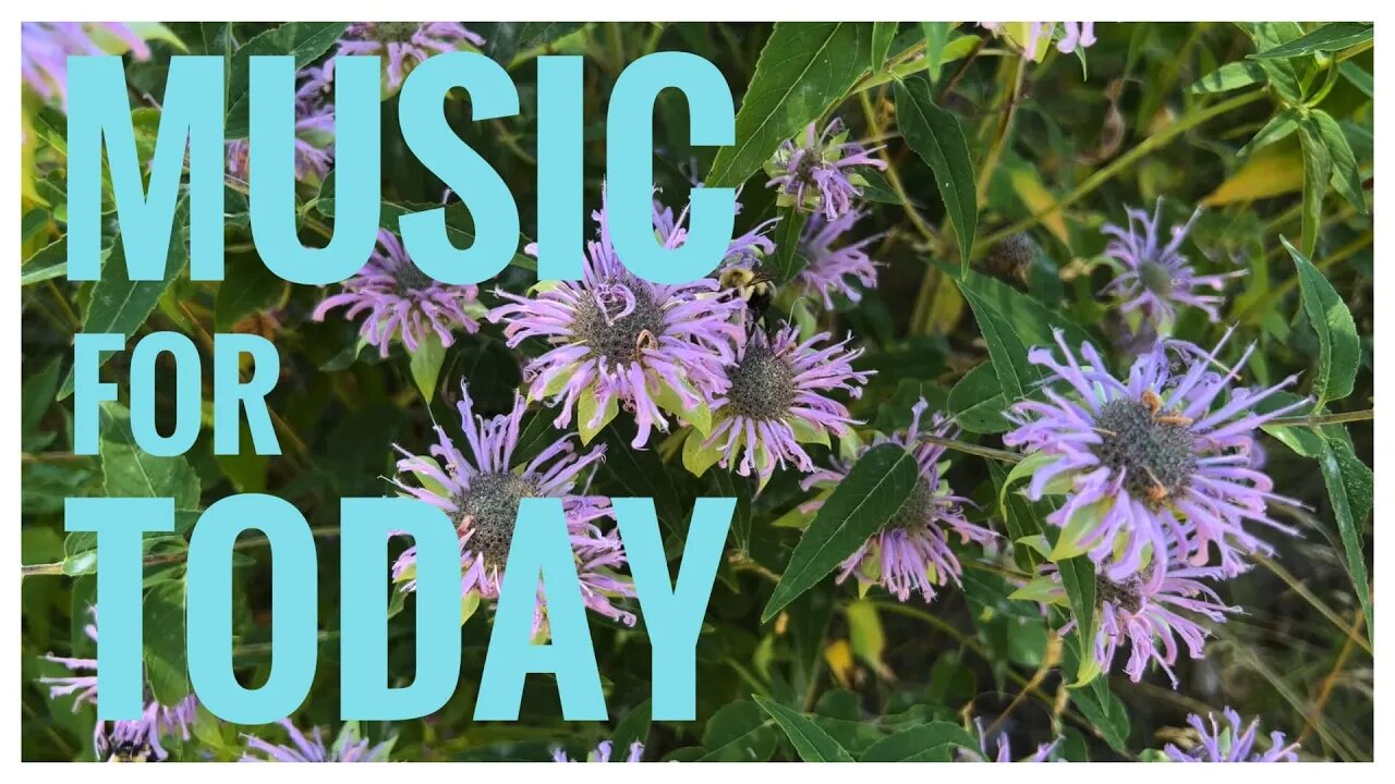 Fake wings | Wild Bergamot Flowers | Cello | Guitar |Devil's Punch Bowl C.A. |Stoney Creek, ON 🇨🇦